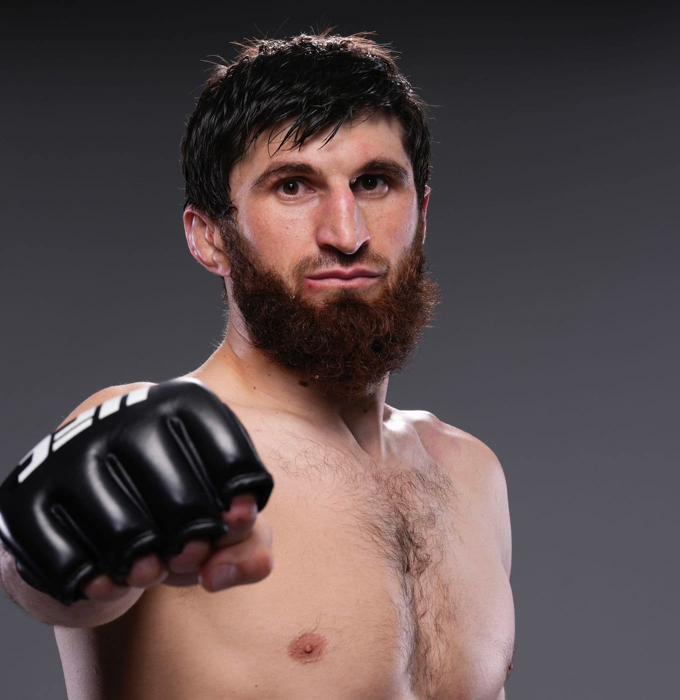 Magomed Ankalaev profile photo